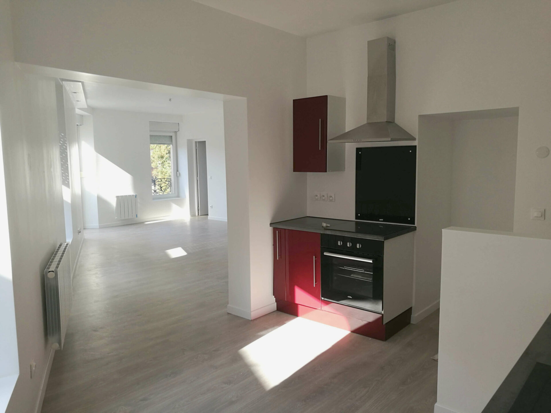 Photo Cuisine, salon et salle à manger appartement 101